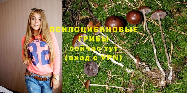 дурь Армянск